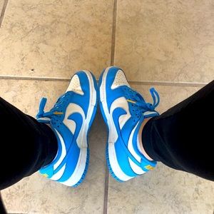 Nike dunk lows coast